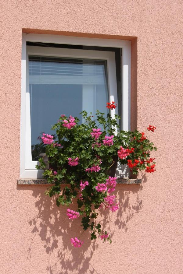 Apartments And Rooms With Parking Space Novalja, Pag - 6341 Eksteriør bilde
